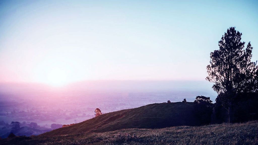 full spectrum light bulbs