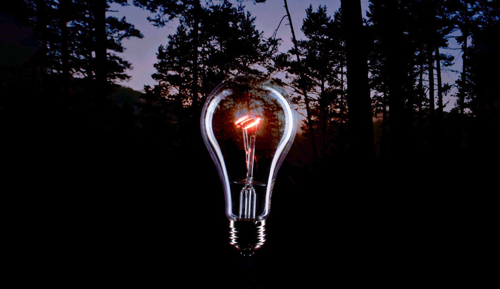Can you still buy incandescent light bulbs in 2025?