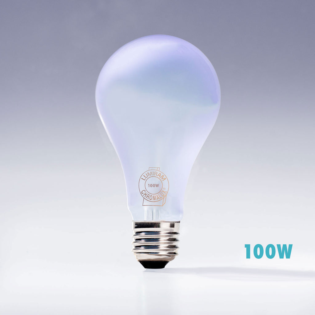 A21 full spectrum 100W incandescent light bulb