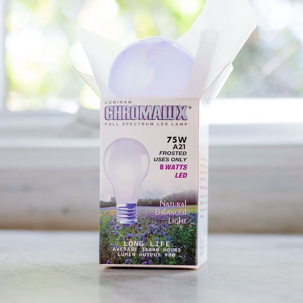 Full Spectrum Healthy A21 LED bulb