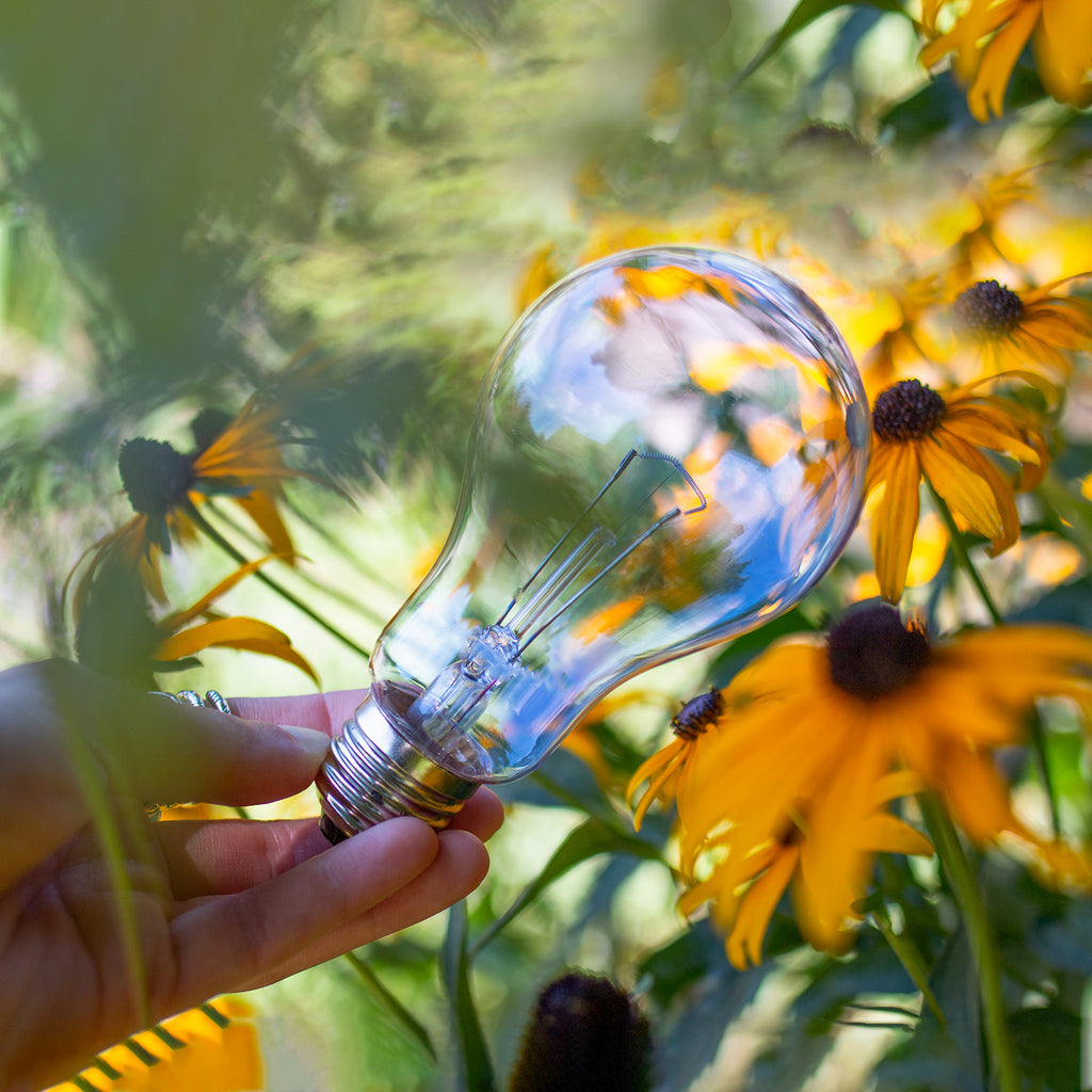 chromalux® full spectrum clear glass incandescent light bulb