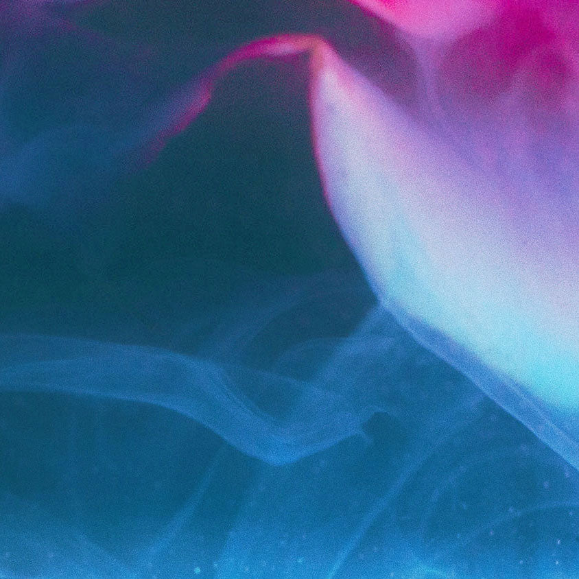 Full Spectrum Fluorescent Light