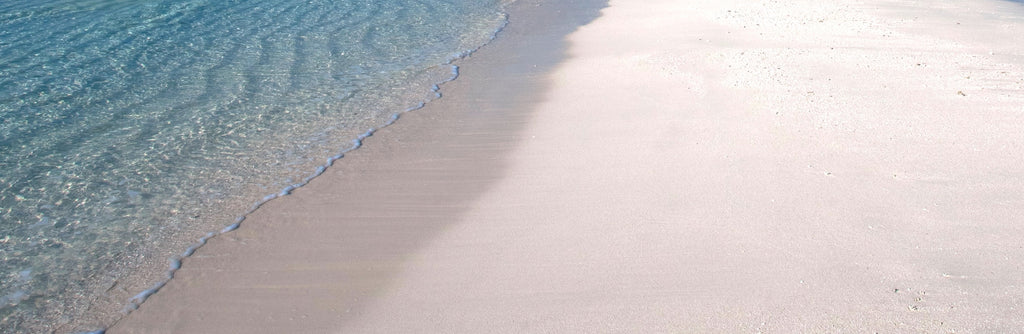 Ecolume® Full Spectrum Compact Fluorescent Lamps (CFL)