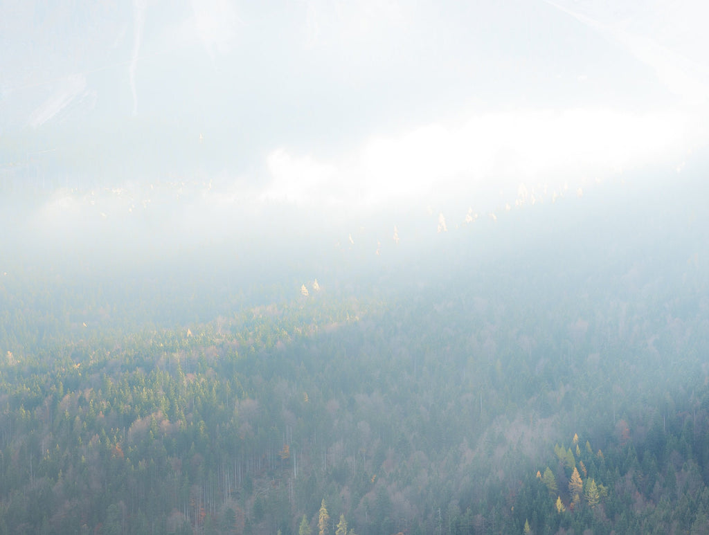 Lumichrome® Full Spectrum Fluorescent Tubes