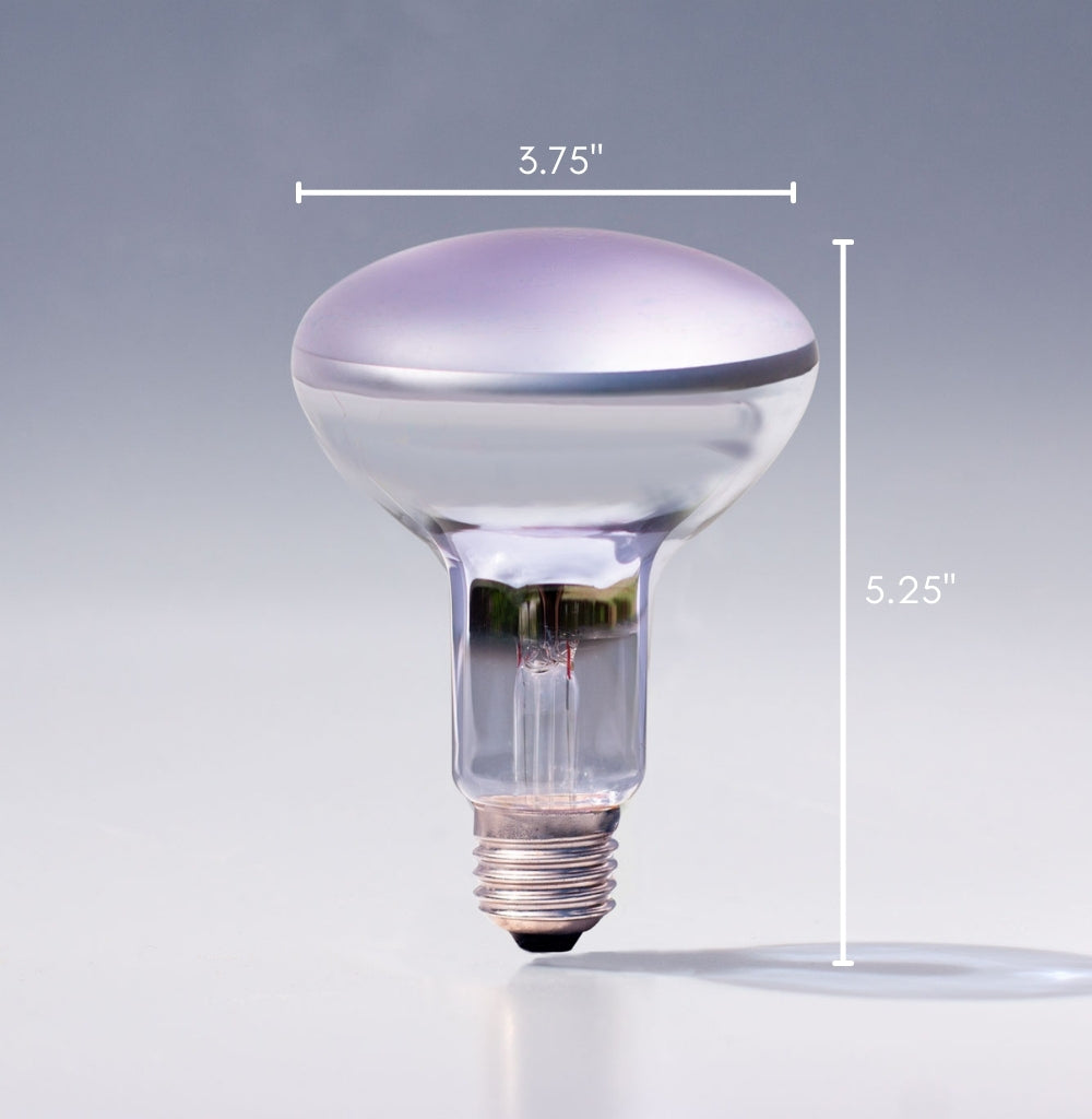 Chromalux® R30 100W Incandescent Flood Light Bulb 