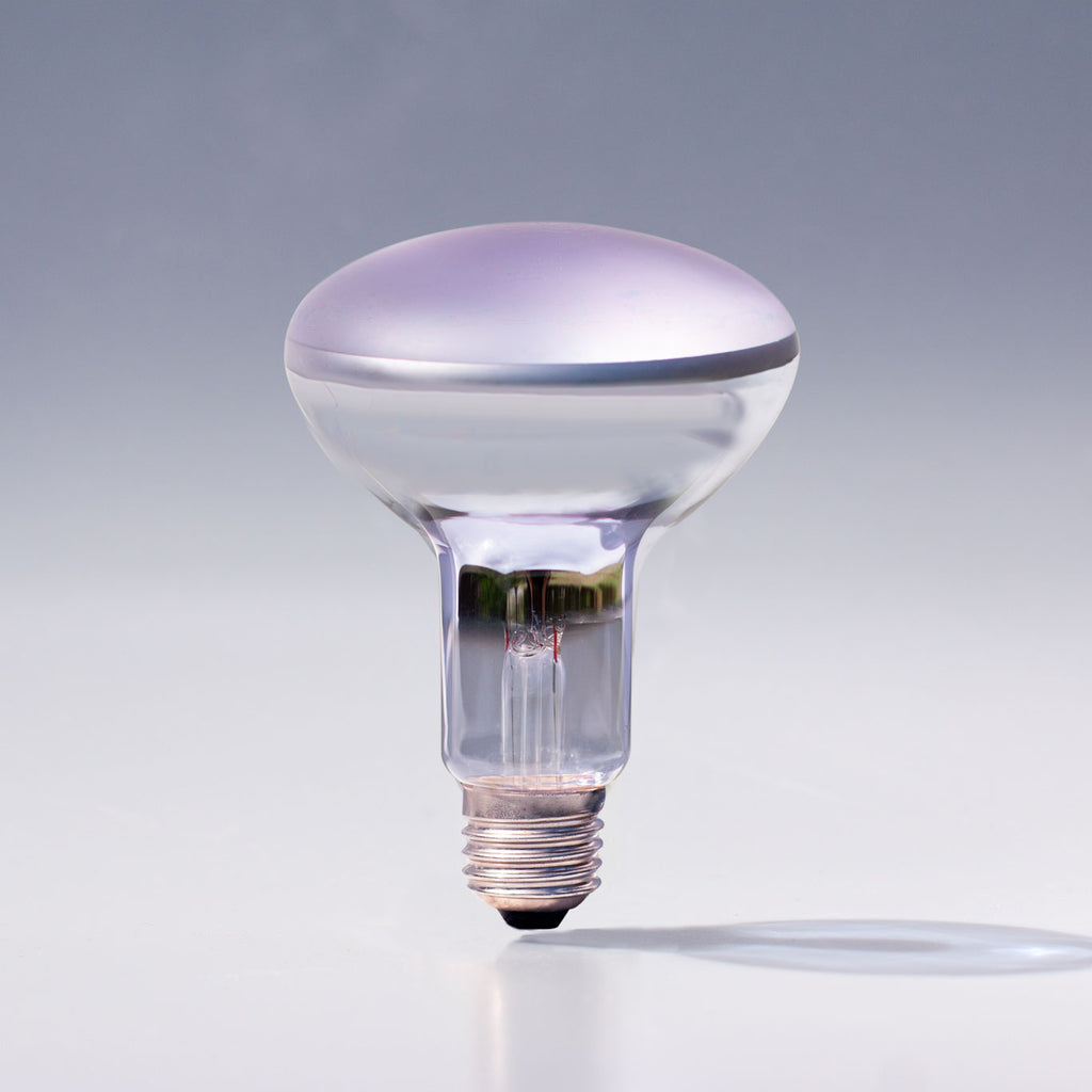 Chromalux® R30 100W Incandescent Flood Light Bulb 