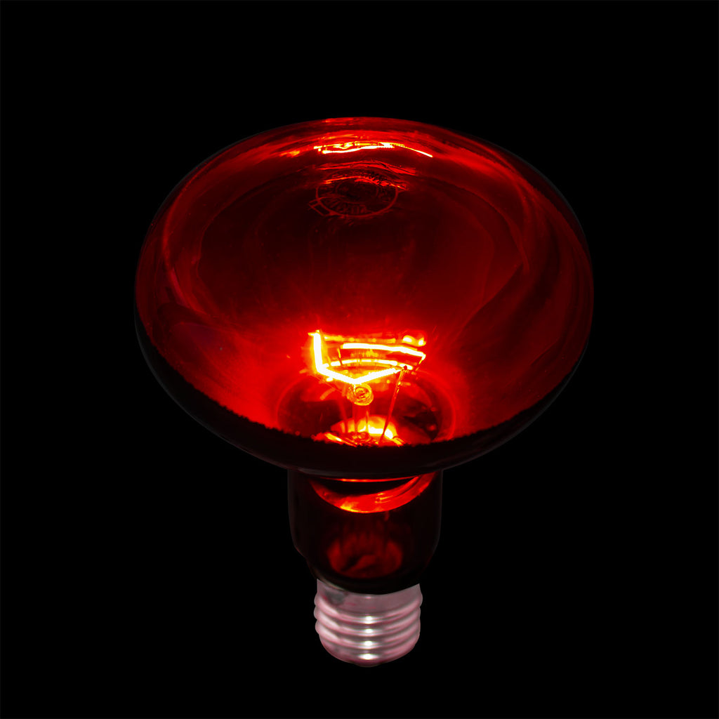 Full Spectrum Incandescent Infrared Red Light Therapy Bulb