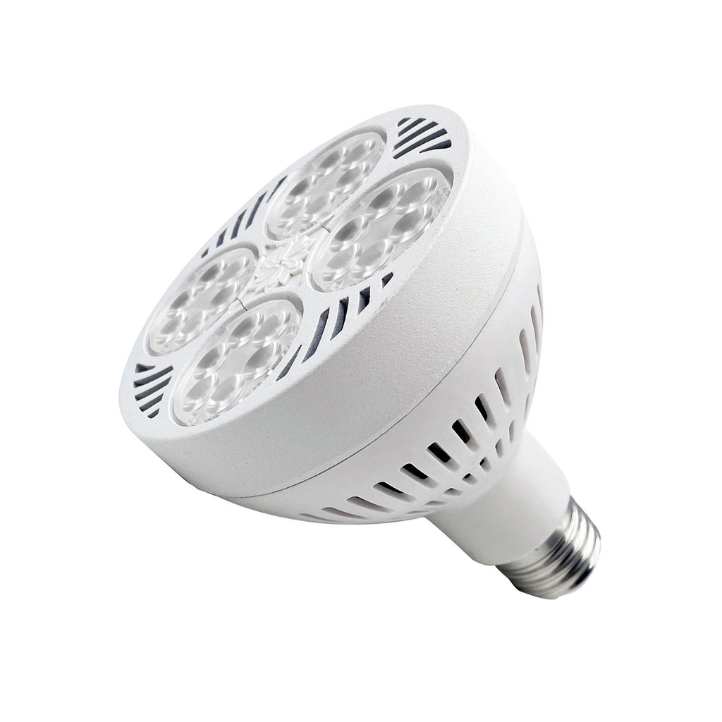 Full Spectrum LED PAR30 40W High Power